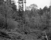 Future Site of I-89 Construction near Burlington, Looking North 