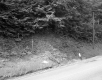 Slope from Road