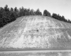 Grassy Slope