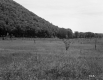 Field beneath Mountain
