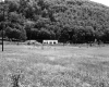 Wooded Mountainside