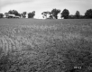 Field by House