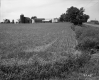 Field by Farm