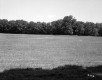 Grassy Field