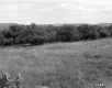 Grassy Field and Mountains