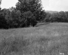Grassy Field