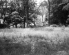Grassy Field