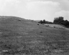 Hay Bales