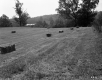 Hay Bales
