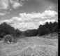 Construction in Springfield