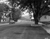 Car on Road