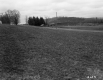 Grass Field