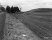 Grassy Field by Road