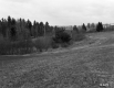 Hill With Trees