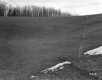 Grassy Slope