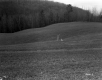 Grass Field