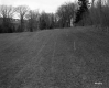 Field and Fence