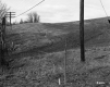 Electrical Poles on Hill