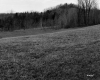 Grass Field