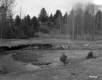 Water Hole and Trees