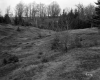 Grassy Slope