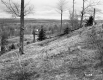 Grassy Slope