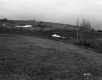Grassy Hills