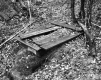Wooden Platform