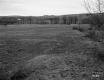 Field with Fences