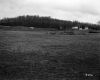 Houses by Field