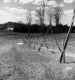 Steel Triangles