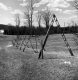 Steel Triangles