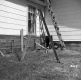 Steel Triangle by House