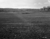 Grassy Field