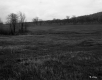 Grassy Field and Wooded Hill