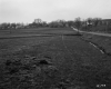 Field by Road and Houses