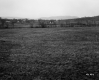 Grassy Field