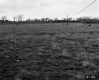 Grassy Field