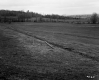 Grassy Field