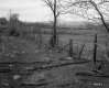 Wire Fence