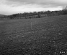 Grassy Hill
