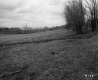 Grassy Hills