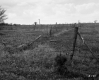 Wire Fencing