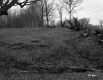 Hill with Tree Stumps