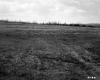 Grassy Slope