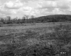 Field and Hill