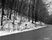 Slope by Dirt Road