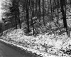 Slope by Dirt Road