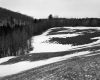 Snow Covered Meadow Lined with Trees