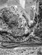 Aerial View White River Jct Routes 4 and 5